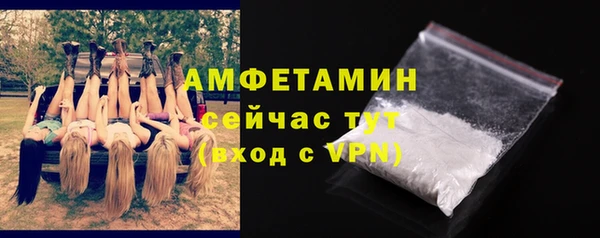 дживик Бородино