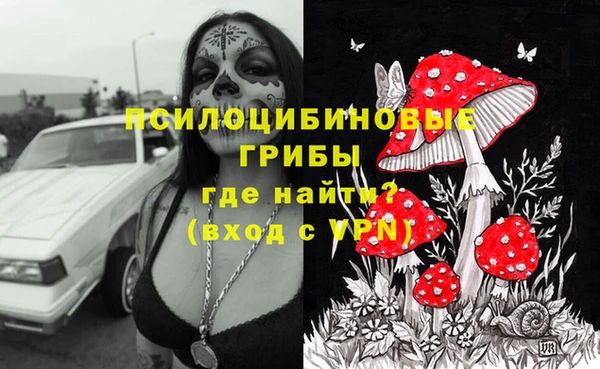 гидропоника Белокуриха