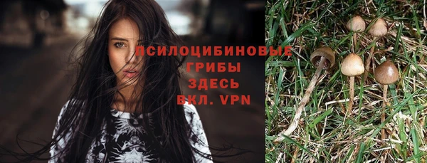 гидропоника Белокуриха